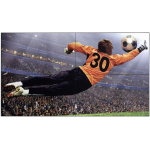 LG 樂金 49VL5G-A 49吋全高清電子顯示屏